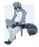  2019 4_toes 5_fingers absurd_res anthro black_nose bottomwear clothed clothing digital_media_(artwork) eyebrows eyelashes fingers fumikotik fur grey_body grey_fur hi_res male mammal pants procyonid raccoon sitting solo toes topless underwear whiskers 