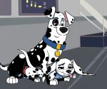  101_dalmatian_street 101_dalmatians 2019 absurd_res animal_genitalia animal_penis balls black_body black_fur canid canine canis collar dalmatian daughter disney domestic_dog father father_and_child father_and_daughter female feral fur hi_res hypergal incest knot looking_pleasured male male/female mammal multicolored_body multicolored_fur parent parent_and_child penis smile spots spotted_body spotted_fur tongue tongue_out two_tone_body two_tone_fur white_body white_fur young 