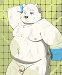  2019 anthro arm_tuft azzyyan balls bathing bear belly biped black_nose blue_body blue_eyes blue_fur cheek_tuft chest_tuft detailed_background facial_tuft flaccid foreskin fur fur_markings genitals glans gloves_(marking) hand_behind_head head_tuft hi_res humanoid_genitalia humanoid_hands humanoid_penis inner_ear_fluff male mammal markings moobs multicolored_body multicolored_fur navel nipples nude one_eye_closed overweight overweight_anthro overweight_male partially_retracted_foreskin penis pink_glans pink_nipples shower solo standing steam tuft two_tone_body two_tone_fur wet wet_body wet_fur white_balls white_body white_fur white_penis 