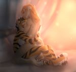  2017 anthro anthro_on_anthro bed black_hair black_stripes digital_media_(artwork) f-r95 felid feline female fur furniture hair kneeling male male/female mammal on_bed orange_body orange_fur orange_hair pantherine sitting smu striped_body striped_fur stripes tiger 