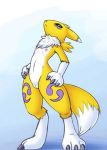  anthro chest_tuft claws cub digimon digimon_(species) digitigrade female flat_chested haiiromon hands_on_hips looking_at_viewer navel nipples pussy renamon solo standing tuft young 