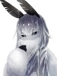  1girl bangs black_sclera diddms1999 eyebrows_visible_through_hair fur highres insect_girl insect_wings monster_girl moth_(diddms1999) moth_ears moth_girl original short_hair simple_background white_background white_eyes wings 