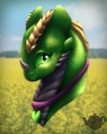  ambiguous_gender collar dragon dreamworks emerald_light_fury girly green_body green_scales headshot horn how_to_train_your_dragon light_fury mated/collared puff_moonwatcher scales scalie solo western_dragon 