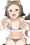  1girl animal_ears bikini blue_bikini bow brown_hair claw_pose fang hair_bow hatakenaka_(kamagabuchi) highres long_hair micro_bikini mikakunin_de_shinkoukei mitsumine_mashiro open_mouth shiny shiny_hair side-tie_bikini solo string_bikini swimsuit v-shaped_eyebrows white_background yellow_eyes 