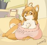  2014 ahoge amber_eyes anthro anthrofied big_breasts breasts canid canine canis chest_tuft clothed clothing doge domestic_dog female fur hair huge_breasts inside kemono leonkatlovre long_hair looking_at_viewer lying mammal meme shiba_inu solo spitz sweater tan_body tan_fur topwear tuft 