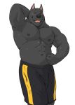 2018 american_staffordshire_terrier anthro big_muscles black_body black_fur black_nipples black_sclera blush bodily_fluids bottomwear brock_(pumadime) canid canine canis clothed clothing domestic_dog ear_piercing flexing fur hunting_dog looking_at_viewer male mammal muscular muscular_male nipples one_eye_closed piercing pumadime shorts simple_background smile solo standing sweat terrier topless white_background wink yellow_eyes 