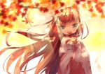  1girl animal_ear_fluff animal_ears autumn_leaves bangs blue_eyes blurry blurry_foreground blush brown_hair commentary_request covered_mouth depth_of_field eyebrows_visible_through_hair floating_hair hamaru_(s5625t) hand_up holding holding_leaf leaf long_hair long_sleeves looking_away looking_to_the_side maple_leaf original pink_sweater poncho ribbed_sweater sleeves_past_wrists solo sweater tree_branch upper_body very_long_hair 