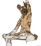  2019 african_wild_dog animal_genitalia anthro black_nose canid canine digital_media_(artwork) eyewear fingers glasses looking_at_viewer male mammal nomax sheath simple_background sitting solo toes white_background 