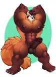  2018 4_toes abs ailurid anthro armpit_hair balls big_muscles big_penis black_hair black_nose body_hair brown_body brown_fur brown_nipples erection flexing foreskin fur green_eyes hair huge_muscles huge_penis looking_at_viewer male mammal multitone_fur muscular muscular_male nipples nude one_eye_closed partially_retracted_foreskin pecs penis plantigrade red_body red_fur red_panda schwarzfox solo toes uncut vein veiny_penis white_body white_fur wink 