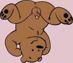  2019 anthro anus balls brown_body brown_fur butt cartoon_network fur grizzly_(wbb) humanoid_penis male mammal neenya penis simple_background small_penis solo ursid we_bare_bears 