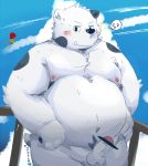  2015 anthro balls belly bhtoss blush censored cute_fangs erection fur humanoid_hands humanoid_penis male mammal moobs navel nipples outside overweight overweight_male penis solo ursid white_body white_fur 