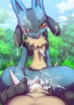  2019 anthro bodily_fluids cowgirl_(disambiguation) cum cum_covered cum_in_pussy cum_inside erection female first_person_view genital_fluids human human_on_anthro interspecies kicktyan looking_at_viewer lucario male male/female mammal messy nintendo nude penetration penis pok&eacute;mon pok&eacute;mon_(species) pok&eacute;philia pussy vaginal vaginal_penetration video_games 