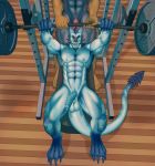  australian_cattle_dog balls canid canine canis cattledog domestic_dog dragon exercise herding_dog male male/male mammal muscular nipples nude pastoral_dog penis possumpecker weightlifting workout 