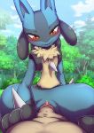  2019 anthro blush cowgirl_(disambiguation) duo erection female female_focus first_person_view human human_on_anthro interspecies kicktyan looking_at_viewer looking_pleasured lucario male male/female mammal nintendo nude penetration penis pok&eacute;mon pok&eacute;mon_(species) pok&eacute;philia pussy solo_focus vaginal vaginal_penetration video_games 