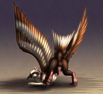  animal_genitalia avian bird feathers feral gryphon hybrid male shadarrius solo 