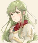  1girl armor breastplate eyebrows_visible_through_hair fire_emblem fire_emblem:_mystery_of_the_emblem fire_emblem:_shadow_dragon fire_emblem_echoes:_shadows_of_valentia fire_emblem_gaiden green_eyes green_hair haru_(nakajou-28) headband highres lips long_hair looking_at_viewer palla_(fire_emblem) simple_background smile solo turtleneck upper_body white_background 
