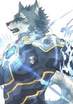  2019 anthro black_nose blue_eyes bodysuit breke canid canine canis clothing fur grey_body grey_fur half-length_portrait male mammal multicolored_body multicolored_fur muscular muscular_male orenjimaru portrait simple_background skinsuit solo tight_clothing tokyo_afterschool_summoners two_tone_body two_tone_fur video_games white_background wolf 