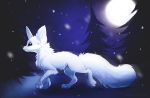  4_toes ambiguous_gender arctic_fox canid canine detailed_background feral fox fur magenta7 mammal night outside sky solo star starry_sky toes white_body white_fur 