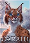  2019 anthro blue_eyes caraid day detailed_background felid feline fur lynx male mammal orange_body orange_fur outside sky solo whiskers white_body white_fur 