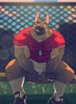  2019 anthro athlete bandage black_nose bottomwear brown_body brown_fur canid canine canis cleats clothing dog_tags domestic_dog eyebrows fur german_shepherd green_eyes grin herding_dog legwear looking_at_viewer male mammal multicolored_body multicolored_fur muscular muscular_male pastoral_dog shirt shorts sitting smile socks solo t-shirt thick_eyebrows tiggon_the_great tight_clothing topwear 
