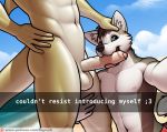  2018 abs anthro anthro_on_anthro balls beach big_penis blue_eyes blue_sky bodily_fluids canid canine canis clothing day digital_media_(artwork) domestic_dog duo english_text faceless_male fellatio fingers fish foreskin fur genital_fluids grey_body grey_fur hair hand_on_hip humanoid_penis husky inner_ear_fluff interspecies leg_grab looking_at_viewer male male/male mammal marine muscular muscular_male nipples nordic_sled_dog nude oral outline outside penile penis precum sea seaside selfie sex sex_on_the_beach shark sideways_oral sigma_x signature sky snapchat spitz swimwear text thigh_grab tongue tuft uncut url vein water white_balls white_body white_fur 