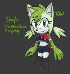  2019 anthro breasts clothed clothing digital_media_(artwork) eulipotyphlan fan_character female fur green_eyes green_hair greywolfnsfw hair hedgehog legendary_pok&eacute;mon looking_at_viewer mammal nintendo pok&eacute;mon pok&eacute;mon_(species) scarf shaymin simple_background sky_forme_shaymin smile solo sonic_the_hedgehog_(series) topwear video_games white_body white_fur 