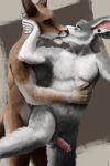  2015 5_fingers anal anal_penetration anthro anthro_on_anthro anthro_penetrated balls canid canine canis digital_media_(artwork) erection fingers foreskin fur grey_body grey_fur head_grab humanoid_penis intimate kangaroo kissing lagomorph leporid macropod male male/male male_penetrated male_penetrating male_penetrating_male mammal marsupial nude partially_retracted_foreskin penetration penis piercing rabbit romantic_couple sex simple_background uncut warpaws_(artist) white_body white_fur wolf 