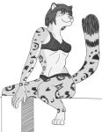  2019 absurd_res anthro bikini breasts clothed clothing digital_media_(artwork) felid female fur greyscale hair hi_res mammal monochrome pantherine partially_clothed prismanoodle_(artist) simple_background snow_leopard solo spots spotted_body spotted_fur swimwear 