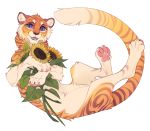  2019 digital_media_(artwork) felid female feral flower fur ketty looking_at_viewer mammal open_mouth orange_body orange_fur pantherine pawpads pink_pawpads plant purple_eyes smile solo striped_body striped_fur stripes sunflower teeth tiger tongue 