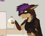  2019 anthro black_nose breasts canid canine canis clothed clothing coyote dengarie digital_media_(artwork) female fingers food fridge fur hair hi_res kitchen looking_at_viewer mammal milk simple_background solo topwear 