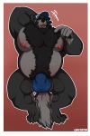  2018 4_toes 5_fingers anthro armpit_hair beard belly black_body black_fur black_hair black_nose body_hair bulge canid canine canis chest_hair clothing coach_mika crunchester eyes_closed facial_hair fingers fur grey_body grey_fur hair happy_trail lying male mammal multicolored_body multicolored_fur musclegut muscular muscular_male nipples on_back open_mouth pawpads pink_nipples pubes simple_background solo thong toes two_tone_body two_tone_fur underwear underwear_only wolf 