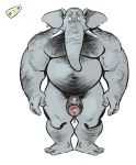 2019 anthro arm_hair barazoku biceps body_hair chest_hair dramamine elephant elephantid erection hairy leg_hair male mammal mind_control muscular muscular_male nipples nude pecs penis proboscidean solo submissive submissive_male trunk tusks uncut 