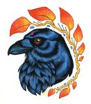  2019 avian beak bird black_beak brown_eyes corvid corvus_(genus) crow headshot_portrait katie_hofgard portrait traditional_media_(artwork) 