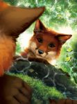  2019 5_fingers absurd_res anthro black_nose canid canine fingers fox fur goldendruid hi_res mammal orange_body orange_fur smile water 