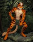  absurd_res anthro archer arrow bow_(weapon) clothed clothing felid forest hi_res hunter iskra loincloth male mammal muscular muscular_male pantherine ranged_weapon solo standing tiger topless tree warrior weapon 