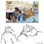  anthro canid canine canis collar domestic_dog duo felid feral male mammal muscular pantherine pool_(disambiguation) tiger unknown_artist 