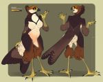  2019 4_toes accipitrid accipitriform anisodactyl anthro avian beak big_breasts bird bombird breasts brown_body brown_feathers claws collage curvy_figure feathers female fluffy kessie_(bombird) looking_at_viewer looking_back model_sheet nude open_mouth orange_eyes scales slightly_chubby smile solo tail_feathers toes true_hawk voluptuous 