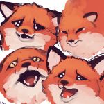  1:1 black_ears black_nose bodily_fluids canid canine color_fox eyes_closed fox fur mammal open_mouth orange_body orange_fur reaction_image sad simple_background tears tongue white_background 