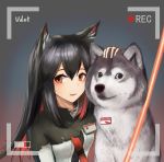  1girl :d absurdres animal_ear_fluff animal_ears arknights bangs black_hair breasts brown_eyes chinese_commentary commentary_request dog doge earrings fang gradient gradient_background grey_background hair_between_eyes highres jacket jewelry long_hair looking_at_viewer multicolored_hair open_mouth purple_background recording red_hair sidelocks skin_fang small_breasts smile texas_(arknights) upper_body wolf_ears wuudete 