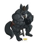  2019 3_toes anthro beard big_muscles black_body black_claws black_fur black_nipples black_nose bodily_fluids bottomwear brown_hair canid canine canis chirros claws clothed clothing domestic_dog dumbbell exercise facial_hair fur grey_body grey_fur hair huge_muscles male mammal multicolored_body multicolored_fur muscular muscular_male nex_anima_canis nipples shorts simple_background sitting solo sweat toes topless two_tone_body two_tone_fur veiny_muscles weightlifting weights white_background workout 