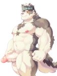  2019 accessory anthro arm_tuft balls big_muscles big_penis black_nose blackmonster canid canine canis chest_tuft elbow_tufts fur grey_body grey_fur headband horkeukamui humanoid_penis looking_at_viewer male mammal multicolored_body multicolored_fur muscular muscular_male nipples nude penis pink_nipples simple_background smile solo standing thick_penis tokyo_afterschool_summoners tuft two_tone_body two_tone_fur video_games white_background white_body white_fur wolf yellow_eyes 