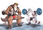  2019 barbell big_muscles black_body black_fur black_hair black_nipples black_nose blonde_hair blue_eyes bodily_fluids bottomwear brown_body brown_fur bulge canid canine canis chin_piercing clothed clothing domestic_dog dumbbell duo exercise fur grey_body grey_fur gym hair hi_res hybrid kamyuelo kiasano kyo_(kiasano) lutrine mammal multicolored_hair muscular mustelid nipple_piercing nipples piercing procyonid raccoon shorts simple_background sneakers striped_body striped_fur stripes sweat topless weightlifting weights white_background white_body white_fur workout 