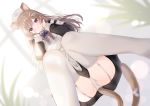  1girl :3 animal_ear_fluff animal_ears apron armband ass black_dress blurry blurry_background blurry_foreground blush bow brown_hair cat_ears cat_girl cat_tail closed_mouth depth_of_field dress dutch_angle from_below garter_straps hair_ornament hat leo_(mafuyu) long_hair long_sleeves looking_at_viewer mafuyu_(chibi21) multicolored_hair nurse_cap original panties purple_bow purple_eyes purple_hair skindentation smile solo squatting streaked_hair tail thighhighs underwear white_apron white_headwear white_legwear white_panties 