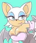  areola areola_slip big_breasts blue_eyes breasts brown_areola chiropteran cleavage clothed clothing female lips mammal rouge_the_bat solo sonic_the_hedgehog_(series) unknown_artist 