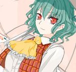  aqua_hair ascot dutch_angle green_hair kazami_yuuka light_smile oekaki plaid plaid_vest pupps red_eyes short_hair sketch solo touhou umbrella upper_body vest 