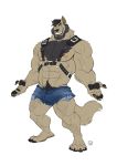  2019 4_toes 5_fingers abs anthro beard biceps big_muscles black_claws black_hair black_nose body_hair bottomwear canid canine canis chest_hair claws clothed clothing facial_hair fingers fur furrybob grey_body grey_fur grin hair harness hat headgear headwear hi_res looking_at_viewer male mammal muscular muscular_arms muscular_male muscular_thighs navel nipple_piercing nipple_ring nipples pawpads pecs piercing pink_nipples plantigrade shorts simple_background smile solo standing toes topless veiny_muscles white_background wolf yellow_eyes 
