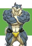  2019 anthro biceps big_muscles blue_eyes bulge canid canine canis clothing crossed_arms fur grey_body grey_fur hi_res huge_muscles jockstrap kyuuhari looking_at_viewer male mammal multicolored_body multicolored_fur muscular muscular_male simple_background solo standing triceps two_tone_body two_tone_fur underwear underwear_only veiny_muscles white_body white_fur wolf 