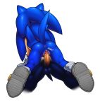  andromorph anthro balls clothing erection eulipotyphlan footwear hedgehog intersex mammal mostly_nude nowykowski7 penis pussy shadow_the_hedgehog shoes solo_focus sonic_the_hedgehog sonic_the_hedgehog_(series) 