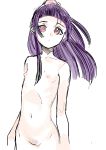  1girl absurdres areolae bangs breasts character_request collarbone copyright_request highres hime_cut hisaki navel nude perky_breasts precure pubic_hair purple_hair pussy red_eyes sidelocks simple_background small_breasts standing stomach white_background 