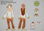  2019 accipitrid accipitriform anthro avian bird buteo english_text eyewear ferruginous_hawk glasses johawk male model_sheet multiple_poses nude penis pose sammy_hawk_(character) standing tapering_penis text 